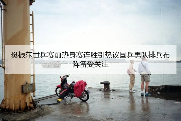 樊振东世乒赛前热身赛连胜引热议国乒男队排兵布阵备受关注